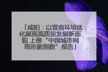 咸阳：以营商环境优化展现高质量发展新面貌 上榜“中国城市网络形象指数”报告