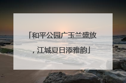和平公园广玉兰盛放，江城夏日添雅韵