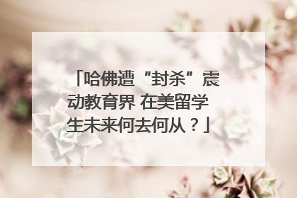 哈佛遭“封杀”震动教育界 在美留学生未来何去何从？
