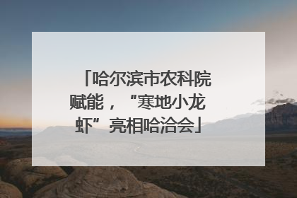 哈尔滨市农科院赋能，“寒地小龙虾”亮相哈洽会