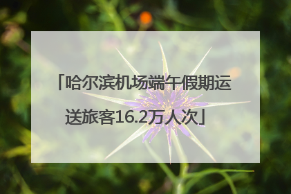 哈尔滨机场端午假期运送旅客16.2万人次