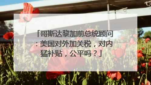哥斯达黎加前总统顾问：美国对外加关税，对内猛补贴，公平吗？