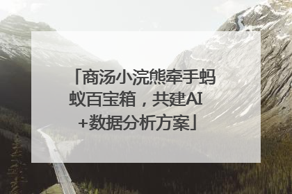 商汤小浣熊牵手蚂蚁百宝箱，共建AI+数据分析方案