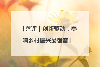 善评｜创新驱动，奏响乡村振兴最强音