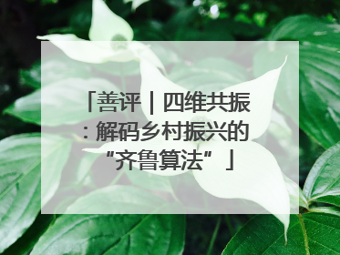善评｜四维共振：解码乡村振兴的“齐鲁算法”