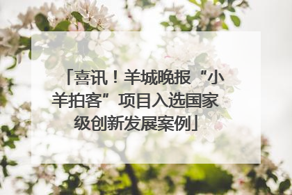 喜讯！羊城晚报“小羊拍客”项目入选国家级创新发展案例