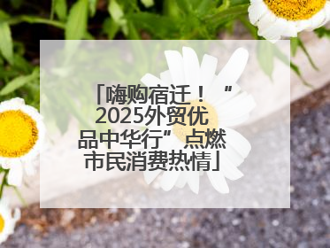 嗨购宿迁！“2025外贸优品中华行”点燃市民消费热情