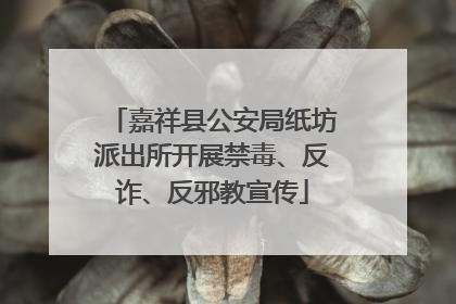 嘉祥县公安局纸坊派出所开展禁毒、反诈、反邪教宣传