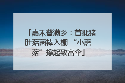 嘉禾普满乡：首批猪肚菇菌棒入棚 “小蘑菇”撑起致富伞