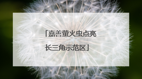 嘉善萤火虫点亮长三角示范区