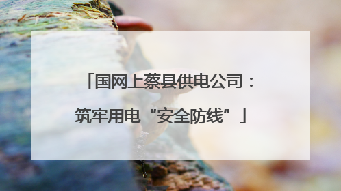 国网上蔡县供电公司：筑牢用电“安全防线”