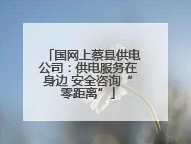 国网上蔡县供电公司：供电服务在身边 安全咨询“零距离”