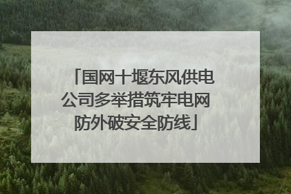 国网十堰东风供电公司多举措筑牢电网防外破安全防线