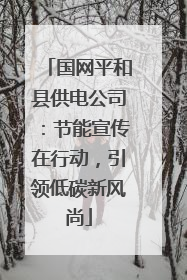 国网平和县供电公司：节能宣传在行动，引领低碳新风尚