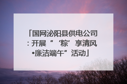 国网泌阳县供电公司：开展“‘粽’享清风 •廉洁端午”活动