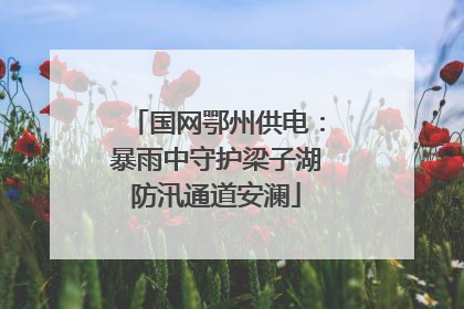 国网鄂州供电：暴雨中守护梁子湖防汛通道安澜