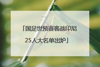 国足世预赛客战印尼25人大名单出炉