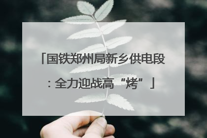 国铁郑州局新乡供电段：全力迎战高“烤”