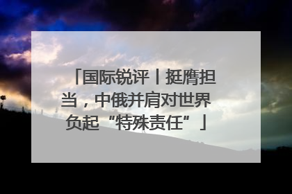 国际锐评丨挺膺担当，中俄并肩对世界负起“特殊责任”