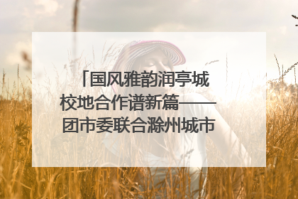 国风雅韵润亭城 校地合作谱新篇——团市委联合滁州城市职业学院助力传统文化“破圈”绽放
