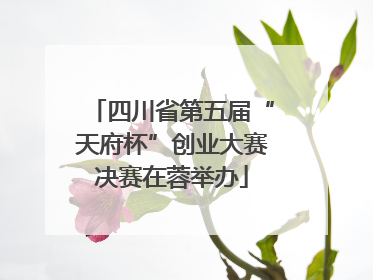 四川省第五届“天府杯”创业大赛决赛在蓉举办