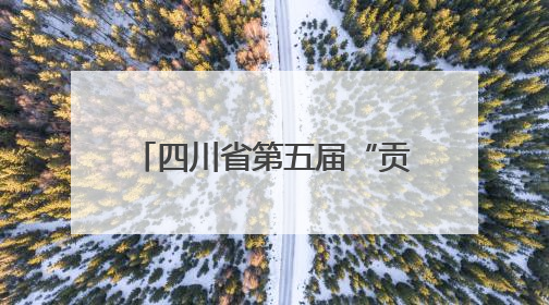 四川省第五届“贡嘎杯”：1.88万人比赛3300场 决出26组冠军