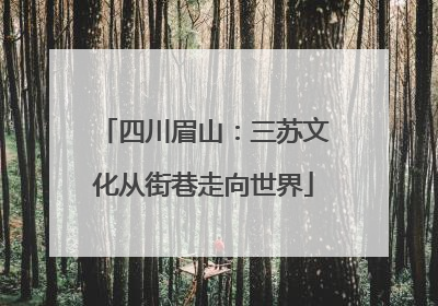 四川眉山：三苏文化从街巷走向世界