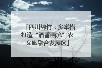 四川绵竹：多举措打造“酒香画境”农文旅融合发展区