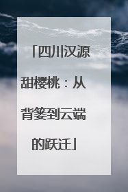 四川汉源甜樱桃：从背篓到云端的跃迁