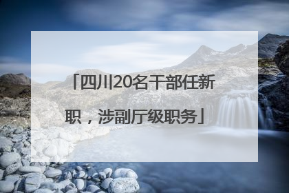 四川20名干部任新职，涉副厅级职务