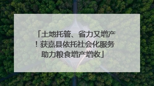 土地托管、省力又增产！获嘉县依托社会化服务助力粮食增产增收