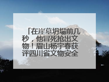 在崖墓坍塌前几秒，他冒死抢出文物！眉山杨宇春获评四川省文物安全守护者