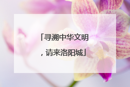 寻溯中华文明，请来洛阳城
