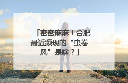密密麻麻！合肥最近频现的“虫卷风”是啥？