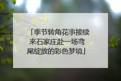 季节转角花事接续 来石家庄赴一场鸢尾绽放的彩色梦境