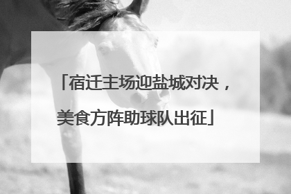 宿迁主场迎盐城对决，美食方阵助球队出征