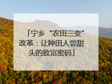 宁乡“农田三变”改革：让种田人尝甜头的致富密码