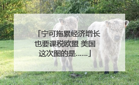 宁可拖累经济增长也要课税欧盟 美国这次图的是……