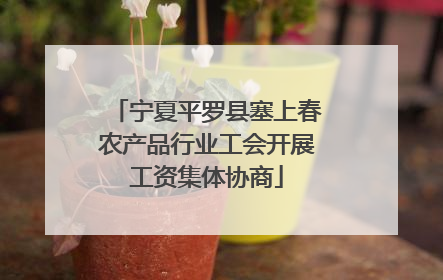 宁夏平罗县塞上春农产品行业工会开展工资集体协商