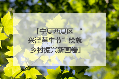 宁夏西夏区 “兴泾黄牛节”绘就乡村振兴新画卷