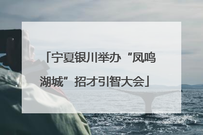 宁夏银川举办“凤鸣湖城”招才引智大会