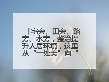 宅旁、田旁、路旁、水旁，整治提升人居环境，这里从“一处美”向“全域美”蝶变