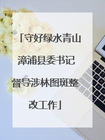 守好绿水青山 漳浦县委书记督导涉林图斑整改工作