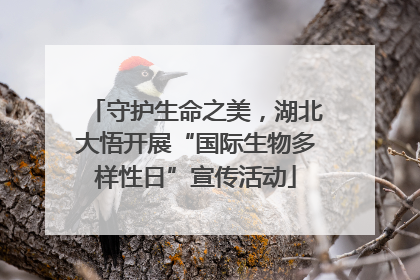 守护生命之美，湖北大悟开展“国际生物多样性日”宣传活动