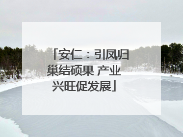 安仁：引凤归巢结硕果 产业兴旺促发展
