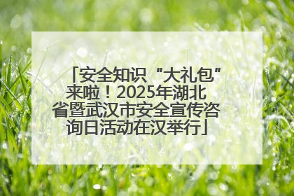 安全知识“大礼包”来啦！2025年湖北省暨武汉市安全宣传咨询日活动在汉举行