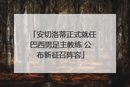安切洛蒂正式就任巴西男足主教练 公布新征召阵容