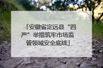 安徽省定远县“四严”举措筑牢市场监管领域安全底线