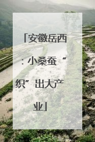 安徽岳西：小桑蚕“织”出大产业