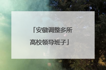 安徽调整多所高校领导班子